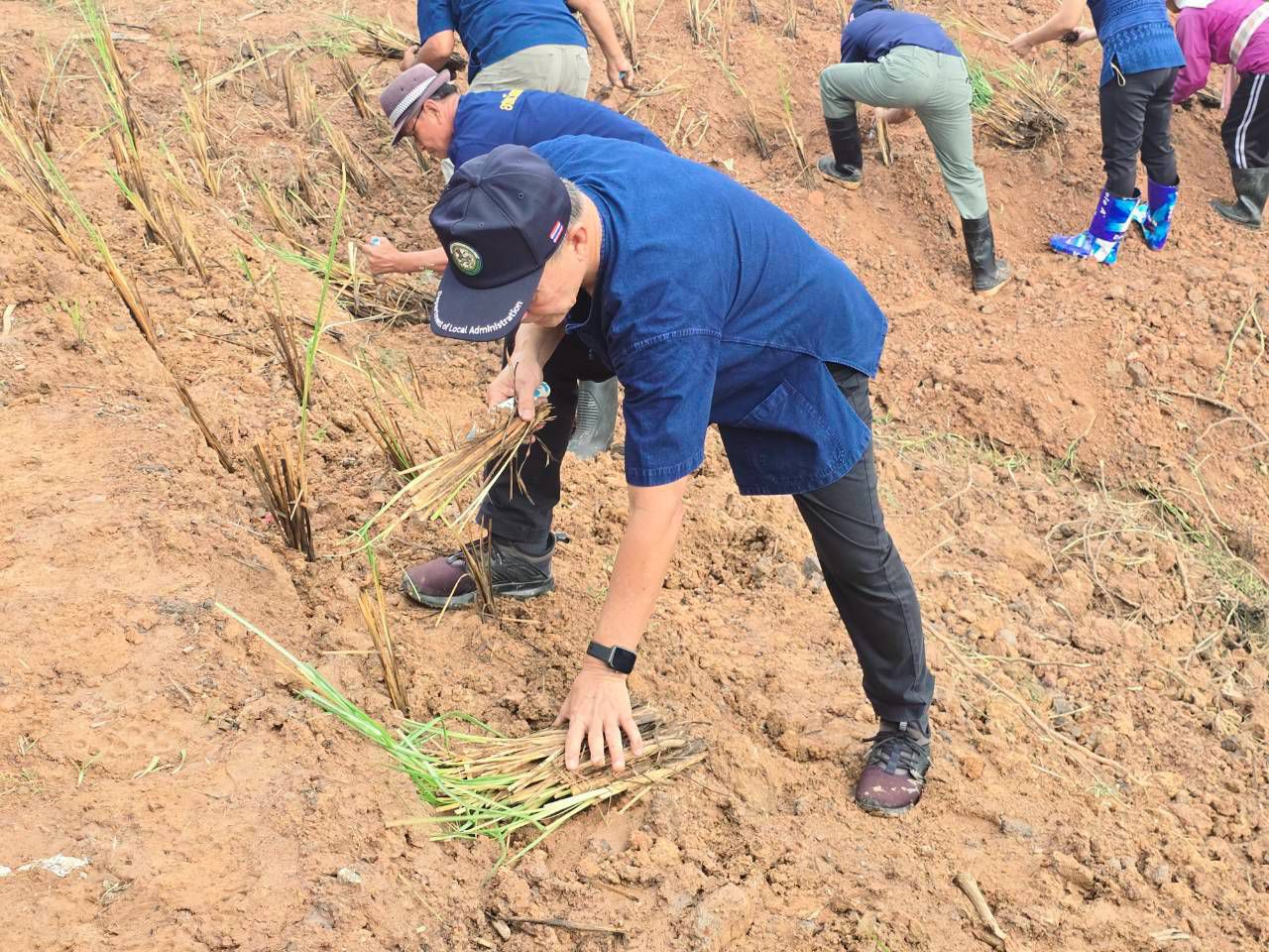 วันที่ 23 กรกฎาคม 2569 เทศบาลตำบลวัดหลวง ได้ดำเนินโครงการปลูกหญ้าแฝกตามแนวพระราชดำริ ประจำปีงบประมาณ 2569 ณ หนองโง้ง บ้านโนนศิลา ตำบลวัดหลวง อำเภอโพนพิสัย จังหวัดหนองคาย โดยมีนายประจักษ์ อภัยภักดิ์ นายกเทศมนตรีตำบลวัดหลวงเปิดผู้กล่าวเปิดโครงการและมีนายใหม