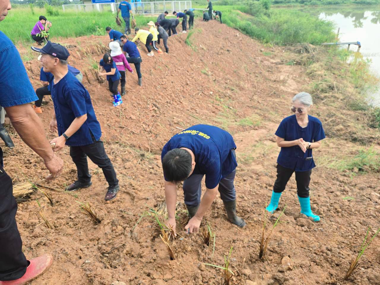 วันที่ 23 กรกฎาคม 2569 เทศบาลตำบลวัดหลวง ได้ดำเนินโครงการปลูกหญ้าแฝกตามแนวพระราชดำริ ประจำปีงบประมาณ 2569 ณ หนองโง้ง บ้านโนนศิลา ตำบลวัดหลวง อำเภอโพนพิสัย จังหวัดหนองคาย โดยมีนายประจักษ์ อภัยภักดิ์ นายกเทศมนตรีตำบลวัดหลวงเปิดผู้กล่าวเปิดโครงการและมีนายใหม